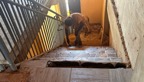 Staircase.jpg